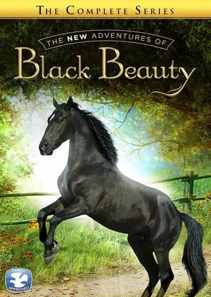 Poster Neue Abenteuer mit Black Beauty 1990