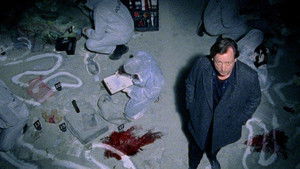 Polizeiruf 110: 40×8