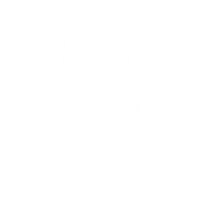 Stelle sulla terra
