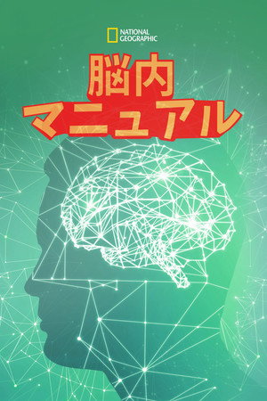 Blow Your Mind