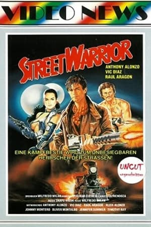 Poster Revenge of the Street Warrior (1987)