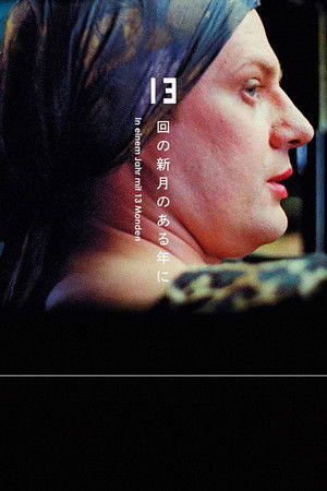 In einem Jahr mit 13 Monden (1978)