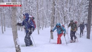 Journeys in Japan: 14×10