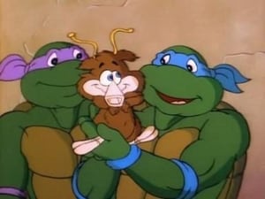 Teenage Mutant Ninja Turtles: 3×45