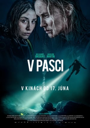 Poster V pasci 2020