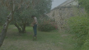 The Soubeyran Treasure 1