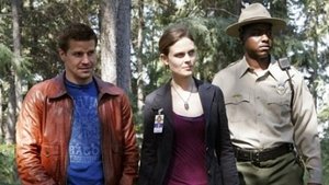 Bones: Stagione 2 – Episodio 4