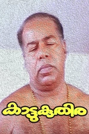 Kattukuthira poster