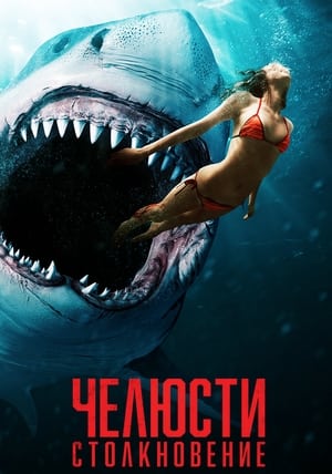 Shark Bait 63