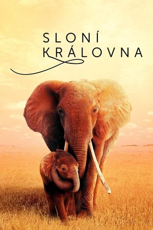 Image Sloní královna