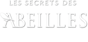 Los secretos de las abejas — Logos 5