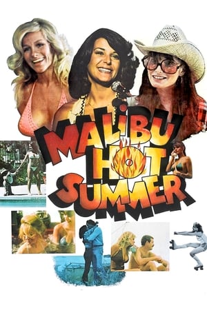 Poster Malibu Hot Summer 1981