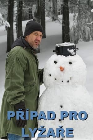 Poster Případ pro lyžaře 2016