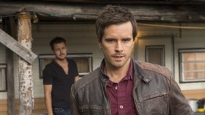 Heartland – Paradies für Pferde: 7×7