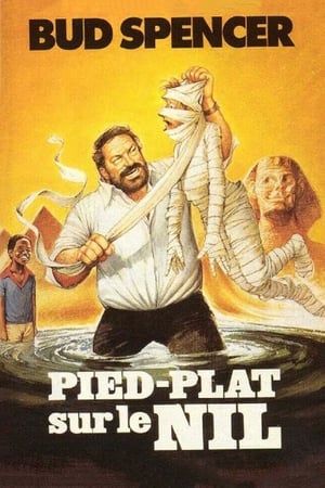 Poster Pied-Plat sur le Nil 1980