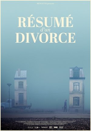 Résumé d'un divorce