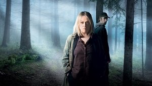 Hidden TV Series Full | Where to Watch?