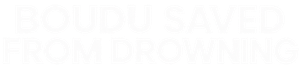 Boudu Saved from Drowning