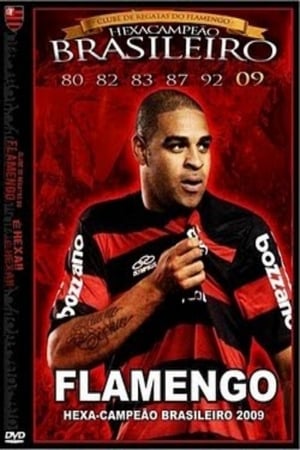 Flamengo Hexa poster