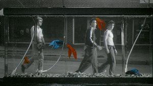 Ο Αταίριαστος / Rumble Fish (1983)