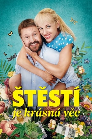 Poster Štěstí je krásná věc (2020)