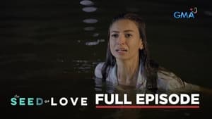 The Seed of Love: Season 1 Full Episode 46