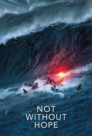 Not Without Hope (2025)