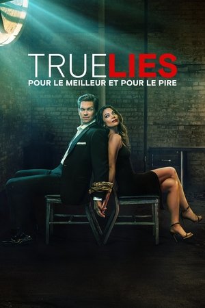 Poster True lies : Pour le meilleur et pour le pire Saison 1 Ennemis amis 2023