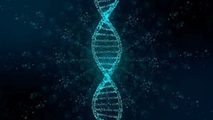Odcinek 23