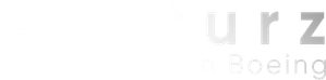 Downfall: The Case Against Boeing — Logos 4