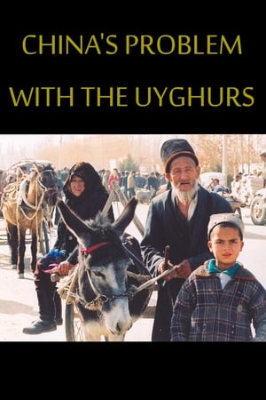 Image China's problems with the Uyghurs