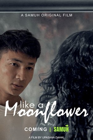Like A Moonflower (2021)