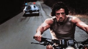 First Blood ( 1982 )