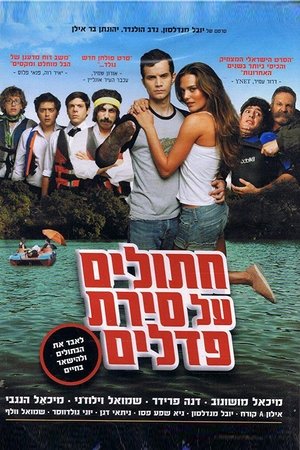 Poster חתולים על סירת פדלים 2011