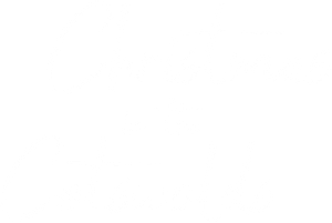 Christmas in the Cotswolds