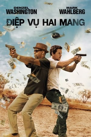 Poster Điệp Vụ Hai Mang 2013