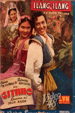 Poster Gitano 1949