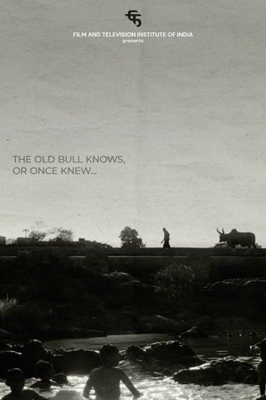 Póster oficial de la película The Old Bull knows, or Once Knew