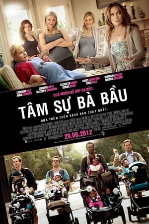 Poster Tâm Sự Bà Bầu 2012