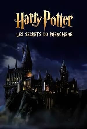Image Harry Potter : les secrets du phénomène