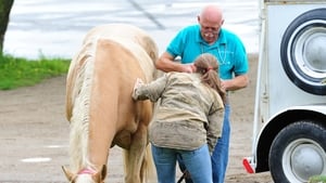 Dr. Pol állatklinikája 1. évad 3. rész