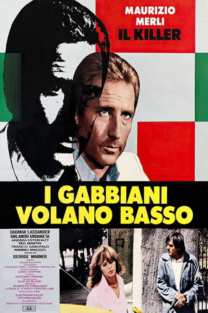 I gabbiani volano basso