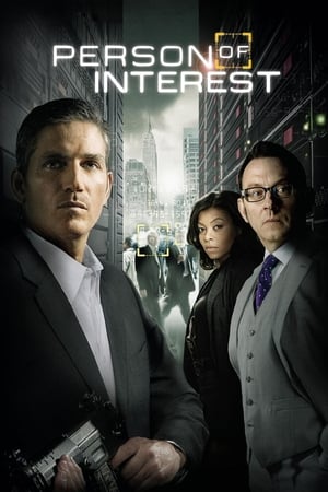 Person of Interest 2016