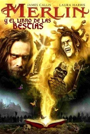Poster Merlin y el libro de las Bestias 2009