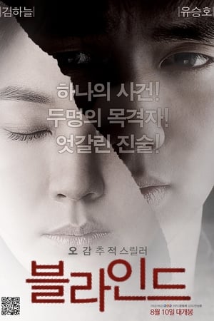Poster Blind 2011