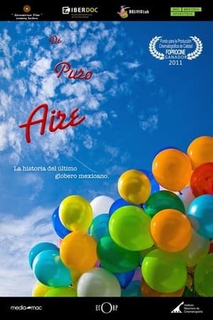 Poster Anything Else Than Air (2014)