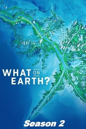 What on Earth?: Seizoen 2