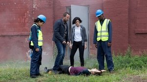 Blindspot: 1X6