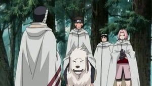 Naruto Shippuden Episódio 212 – A Decisão de Sakura