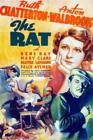 Poster The Rat 1937